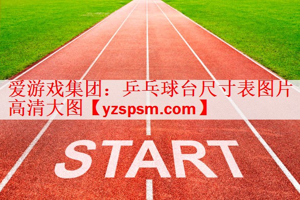 爱游戏集团：乒乓球台尺寸表图片高清大图