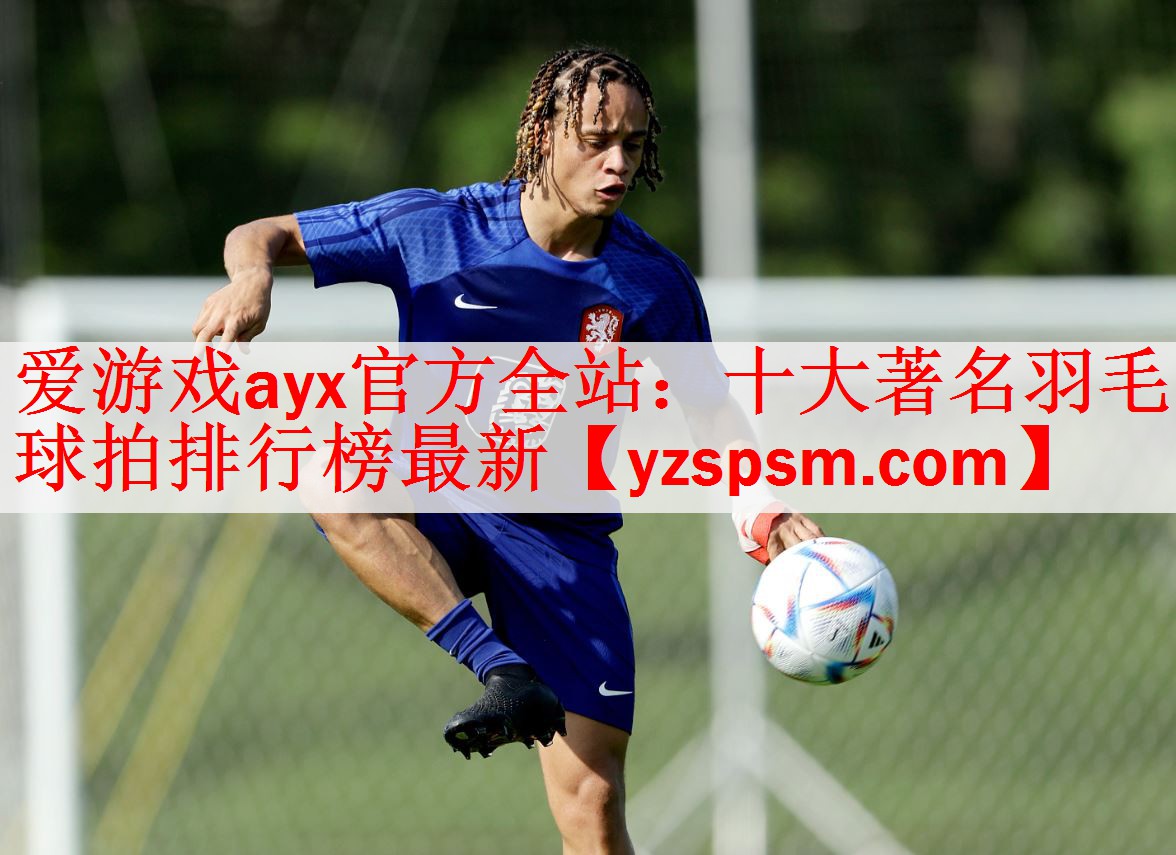 爱游戏ayx官方全站：十大著名羽毛球拍排行榜最新