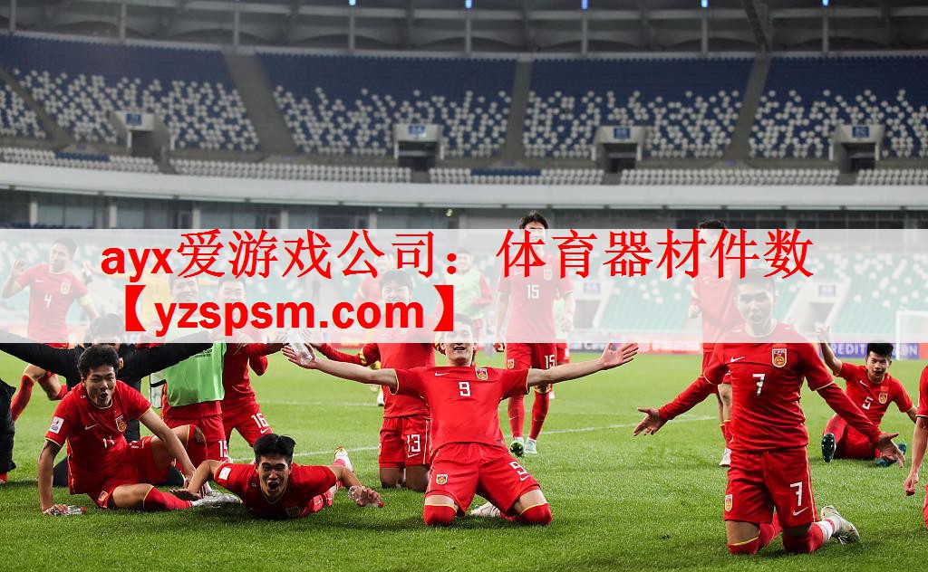 体育器材件数