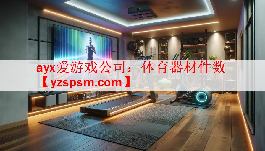 体育器材件数