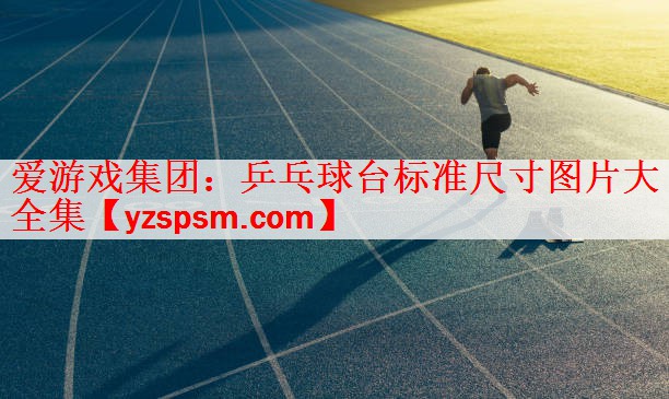 乒乓球台标准尺寸图片大全集