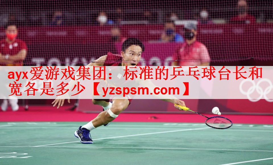 标准的乒乓球台长和宽各是多少