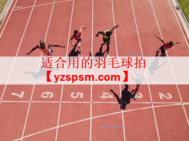 适合用的羽毛球拍