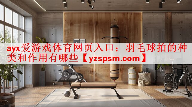 羽毛球拍的种类和作用有哪些