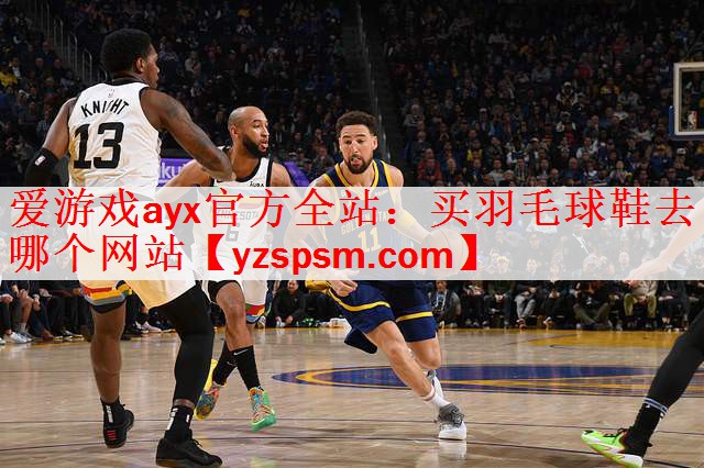 买羽毛球鞋去哪个网站