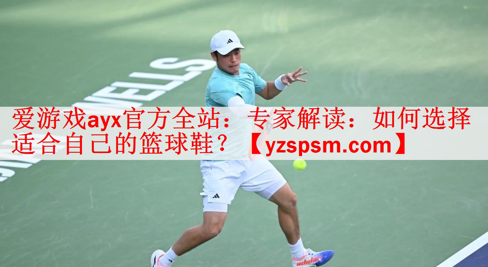 专家解读：如何选择适合自己的篮球鞋？