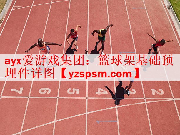 篮球架基础预埋件详图