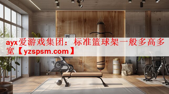 标准篮球架一般多高多宽