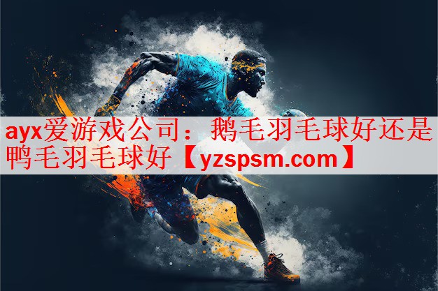 鹅毛羽毛球好还是鸭毛羽毛球好