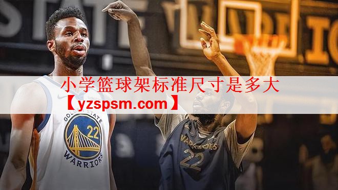 小学篮球架标准尺寸是多大
